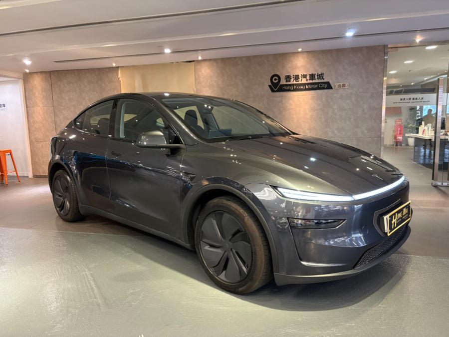 TESLA 特斯拉 Model Y Long Range AWD